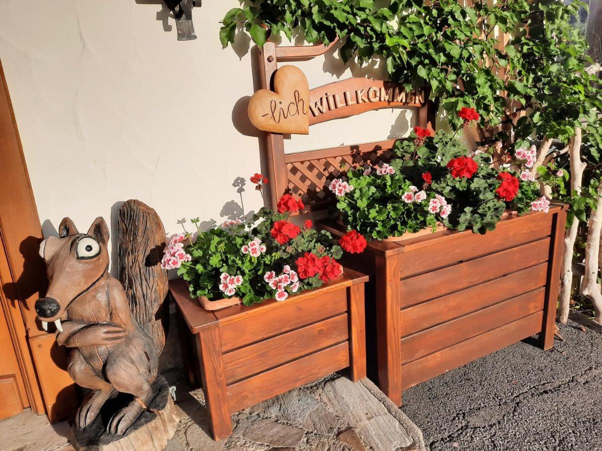 Pension Aberger Saalbach-Hinterglemm Bagian luar foto