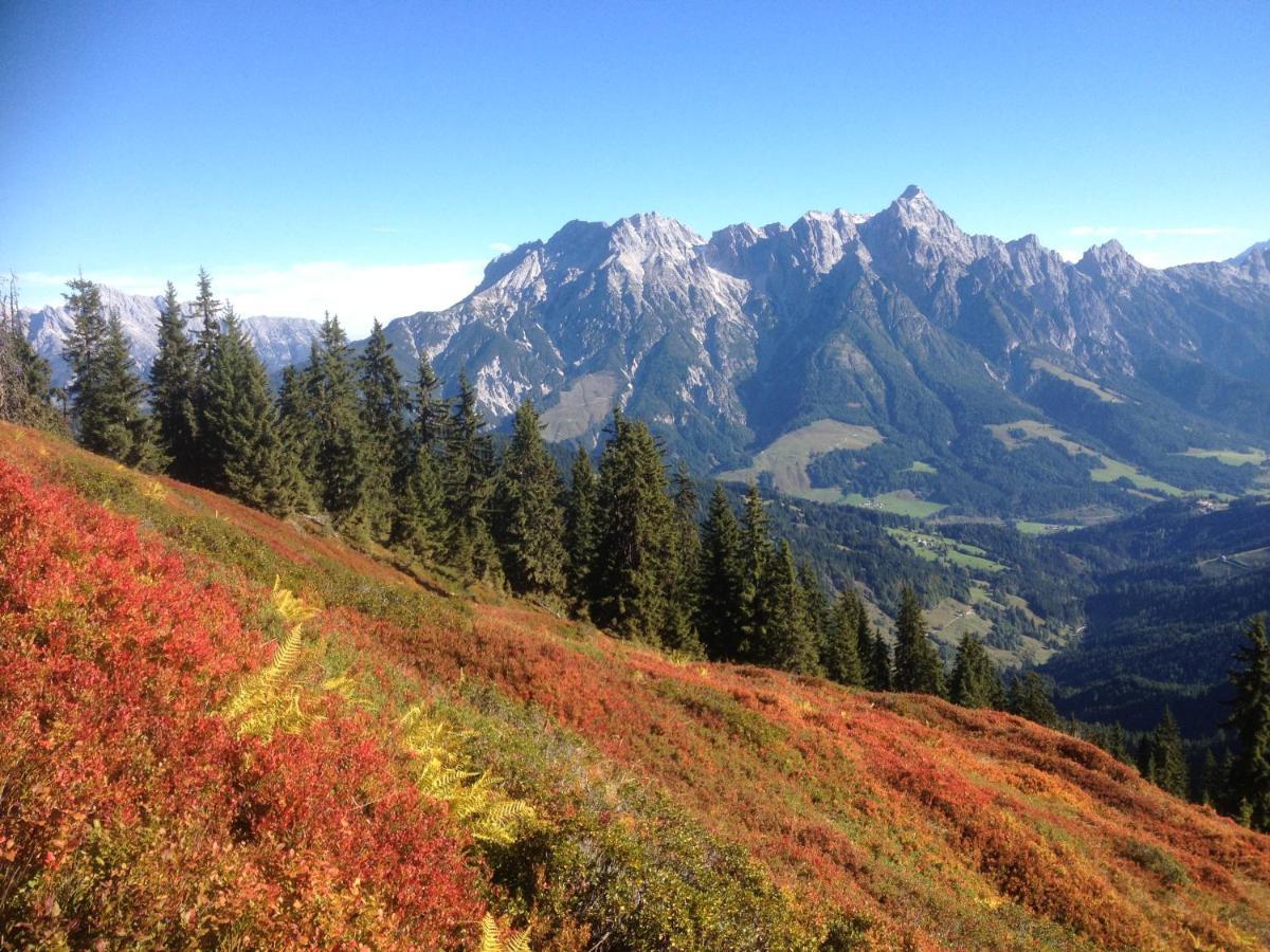 Pension Aberger Saalbach-Hinterglemm Bagian luar foto